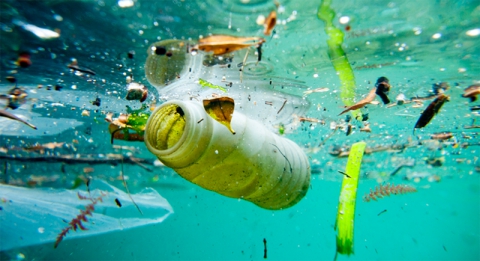 Bảo vệ sức khỏe trước tình trạng ô nhiễm nước hiện nay